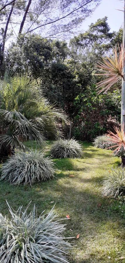 פראייה דו רוזה Pousada Praia Verde מראה חיצוני תמונה